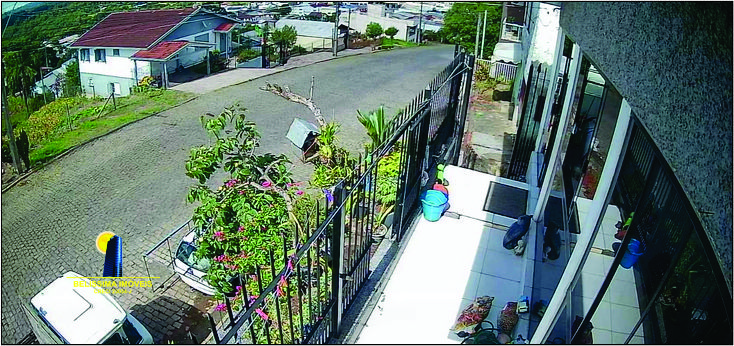 Slide 8